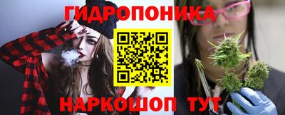 2c-b Новозыбков