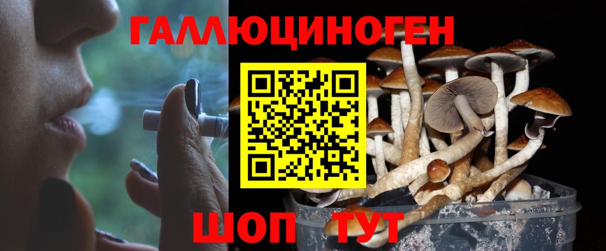 Псилоцибиновые грибы GOLDEN TEACHER  Вход с VPN  Сланцы  Галлюциногенные грибы Magic Shrooms 